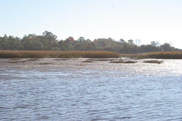 Inshore Fishing Tips: When & Where To Slow It Down