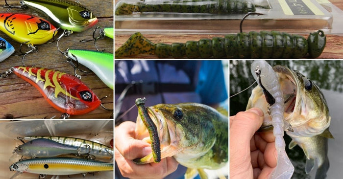 Up North Angler: 5 Bass Baits That Are Crushing Right Now