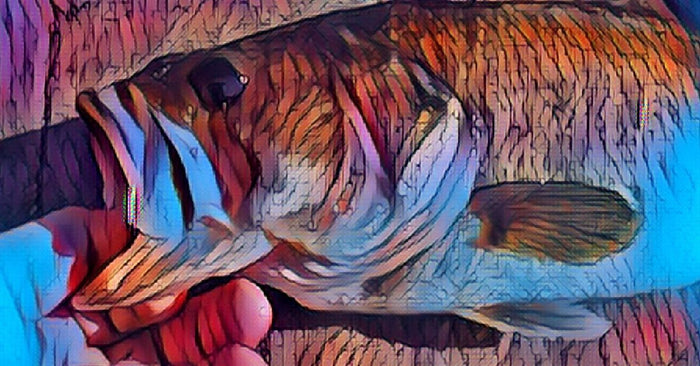 5 Tips That Will Get You Better Prepped For Spring Fishing