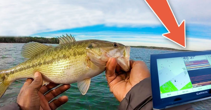 Learn How To Catch Offshore Bass From A Professional Angler!