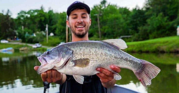 Everything You Ever Wanted To Know About Bass Fishing But Were Too Afraid To Ask