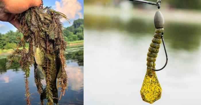 3 Easy Ways To Catch More Bass In Thick Grass