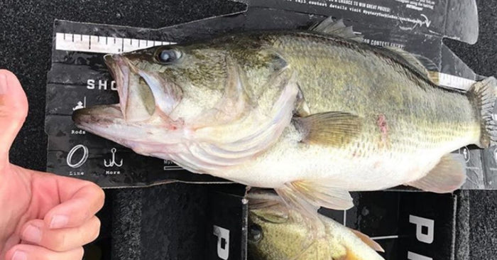 Rain Rain Go Away - 4 Hacks For Fishing In The Rain