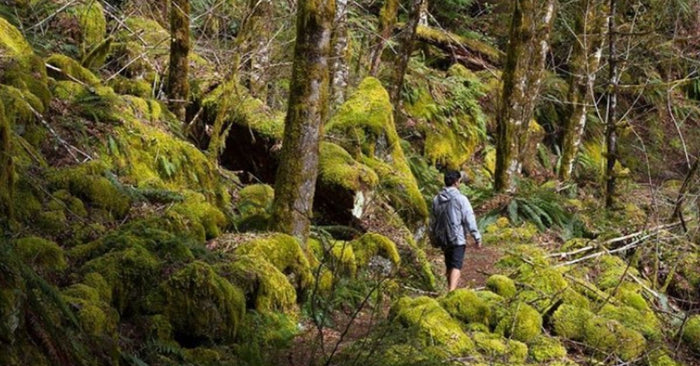 How To Become More Outdoorsy In 5 Easy Steps