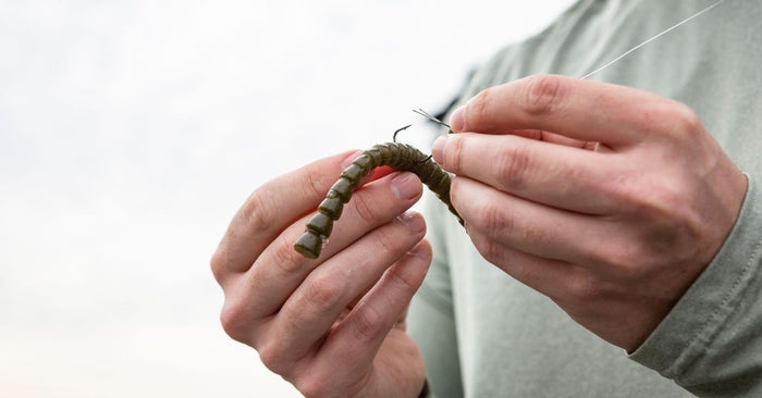 Best Bass Fishing In Connecticut: 5 Places To Catch A Giant Fish