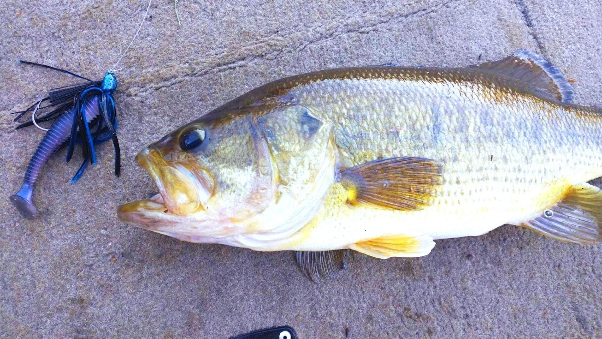 best bass lures pennsylvania DA of WESTERN PA by DALE ALBORN CUSTOM FISHING LURE Toad Tackle Top 10 Baits from Lake