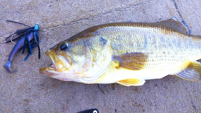 The Best Fishing In Pennsylvania: 5 Places To Catch Bass In The Keystone State