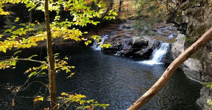 The 5 Best Places To Go Fishing In West Virginia