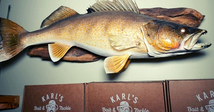 5 Walleye Lures You Can Depend On All Spring Long