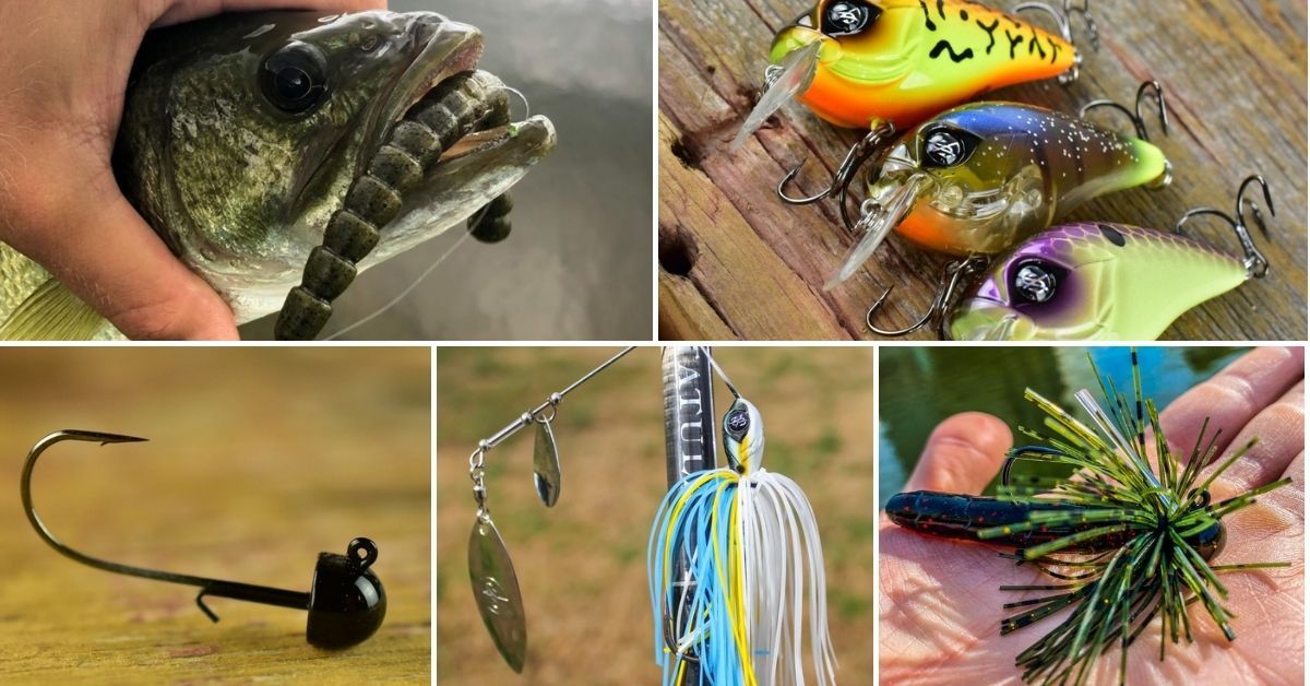 What is the Best Fishing Lure for Bass: Top Picks to Catch More