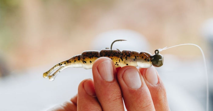 Introducing The All-New BioSpawn ExoNed With Smallmouth Savant Josh Douglas