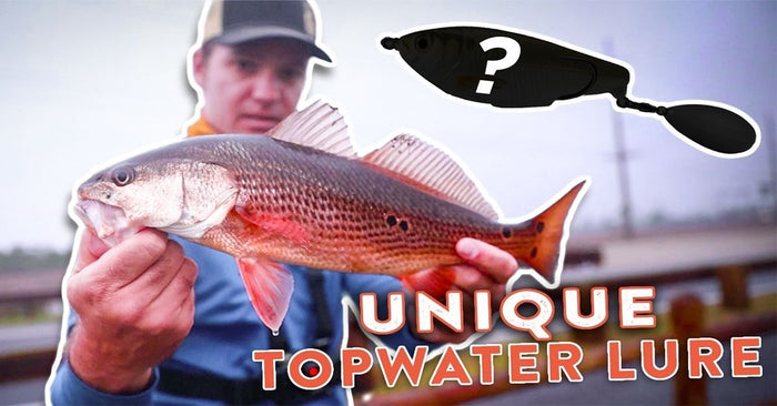 Saltwater Angler: 7 Minute Brackish Water Beatdown (Mixed Bag)