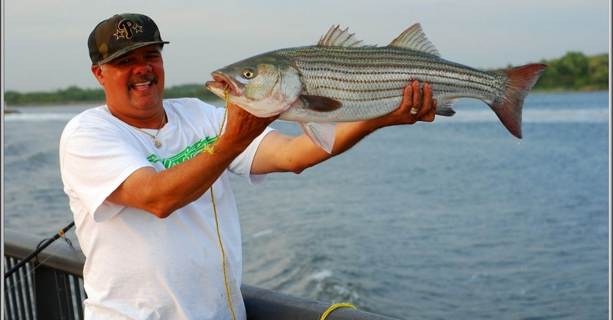 How To Fish