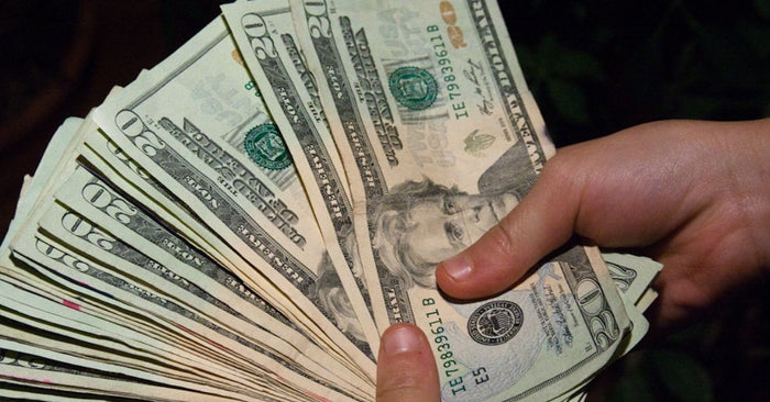 State Agency Is Paying $20 For Every Nothern Pike Caught