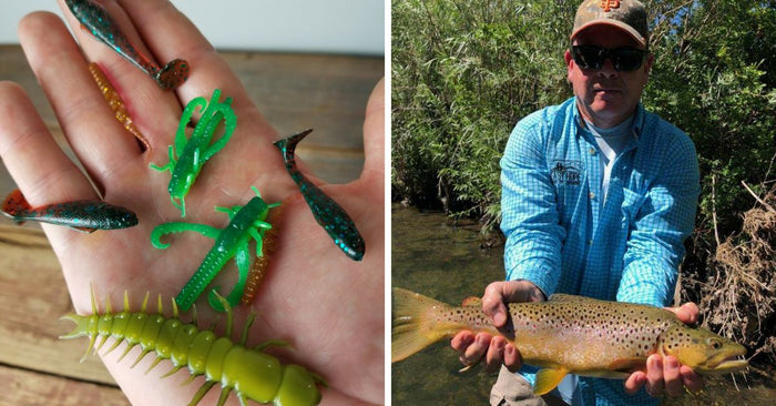 Soft Plastics For Trout: How To Imitate Bugs