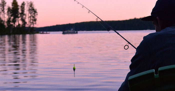 Detecting A Bite: Your Guide To Catching More Finesse Fish