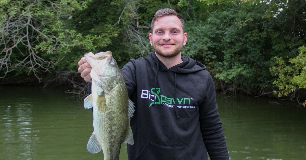 Fishing Shallow And Deep For Warm Water Bass