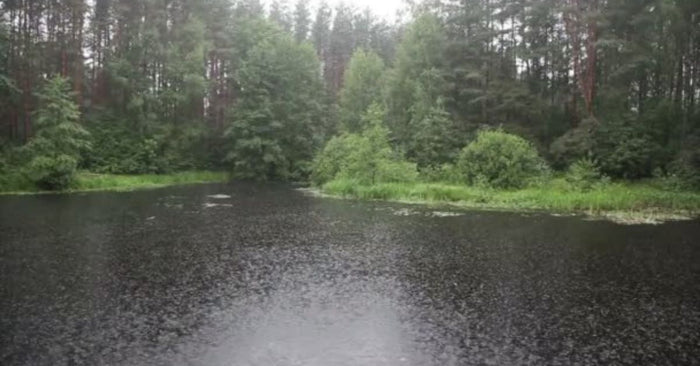 Fish Don't Mind The Rain, They're Already Wet!