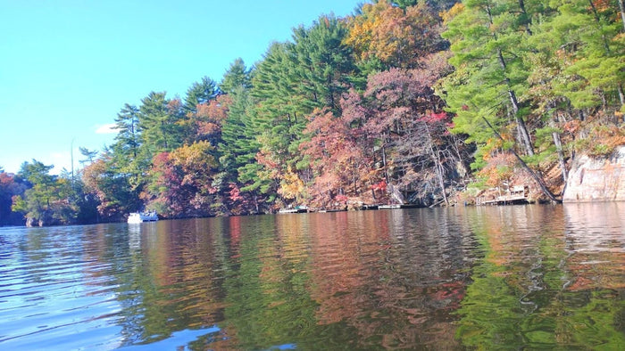 4 Bass Fishing Lures For The Late Late Fall