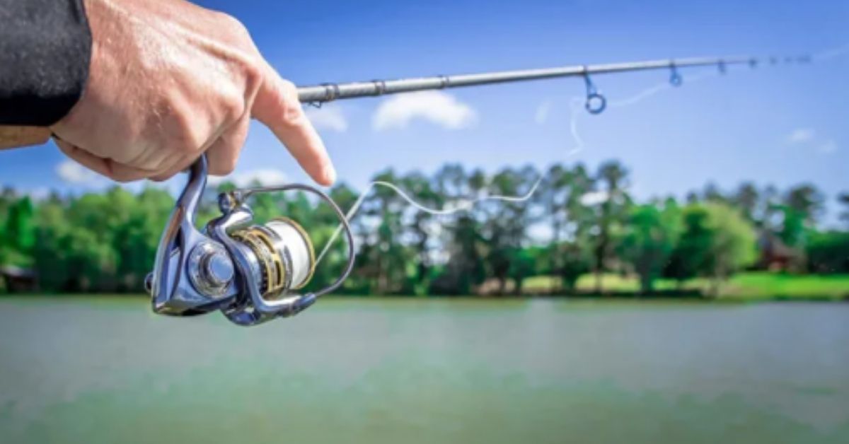 Fresh Catches - The Latest Lures & Gear Available At Karl's