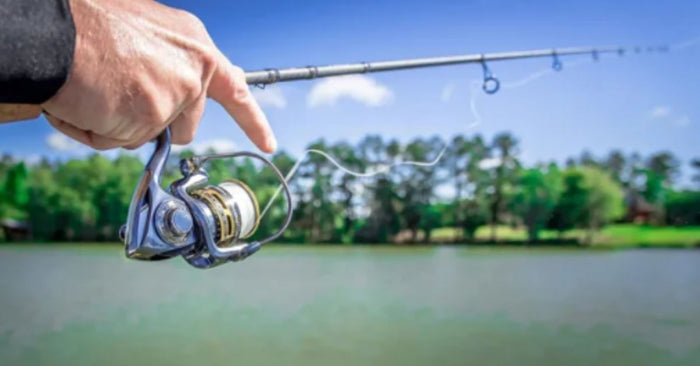 Fresh Catches - The Latest Lures & Gear Available At Karl's