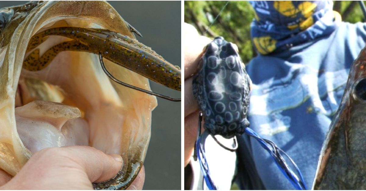 Topwater Showdown: Hollow Bodied Frogs Vs. Plastic Buzz Toads