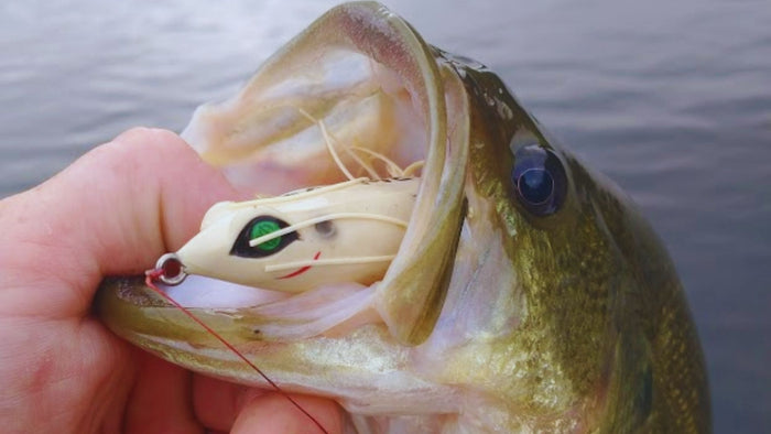 When A Little Topwater Frog Will Out Fish The Big Boys