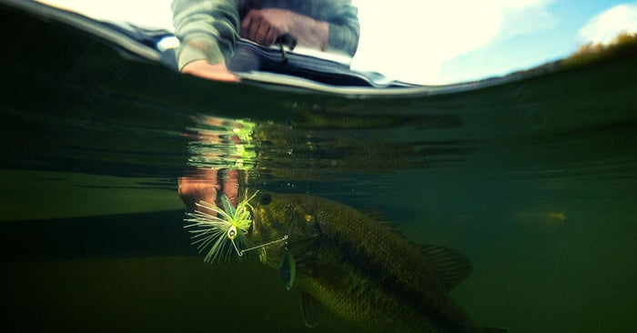 The Googan Squad Zinger: How To Fish The Googan Spinnerbait