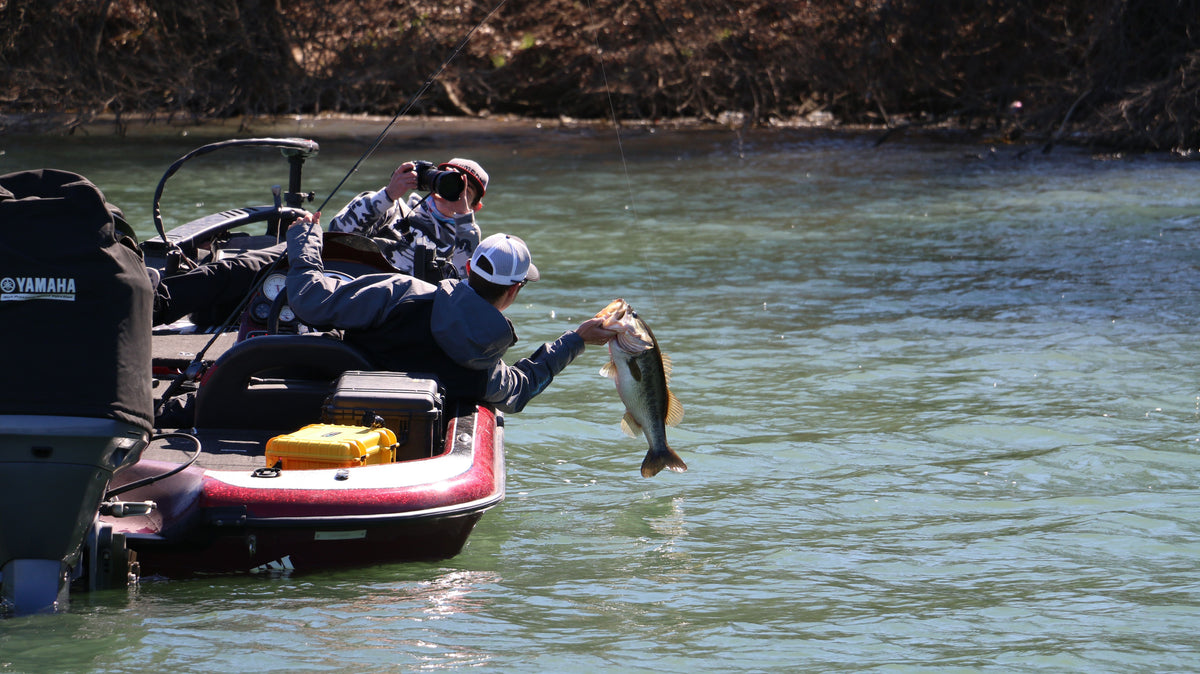 11 Excuses To Skip Work And Go Fishing