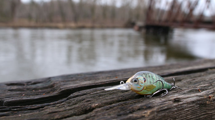 How to Choose The Right Crankbait