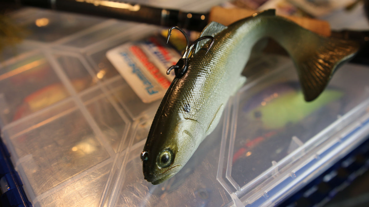 7 Bed Fishing Tehniques You Probably Haven't Tried