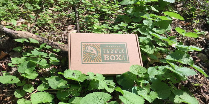 Celebrating 3 Years: Special 