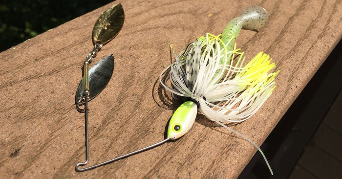 3 Top Search Baits To Catch More Fish This Fall