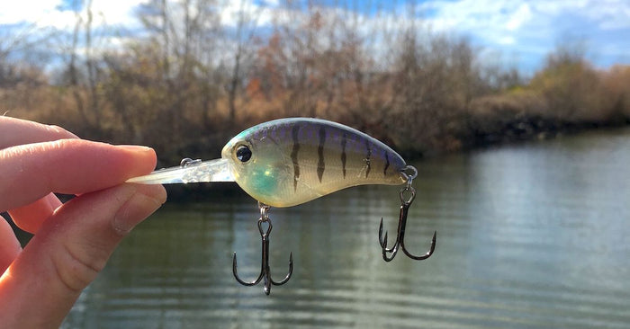 Next Level Cranking – When To Stay Deep And When To Go Shallow