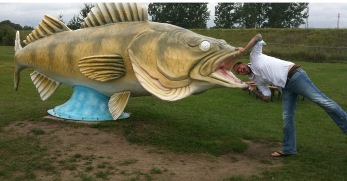 Walleye Fishing 101: How To Fish For Walleye Like A Pro