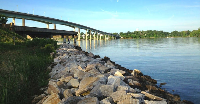 Bridge Fishing 101: What To Look For And What To Use