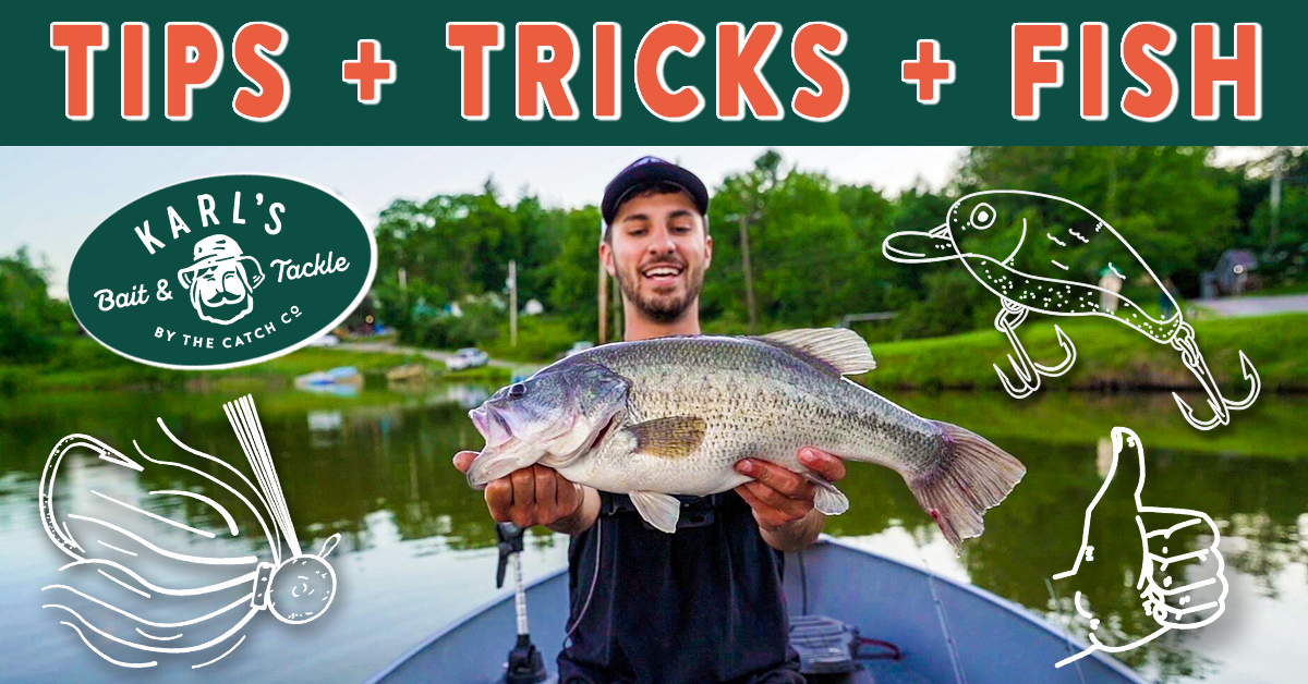 aluminum reel seats fishing REC Fly Seat ABS Aluminum 6063 fly reel Daiwa Baitcaster Model:PF 7.1:1 LH Why Should You Use