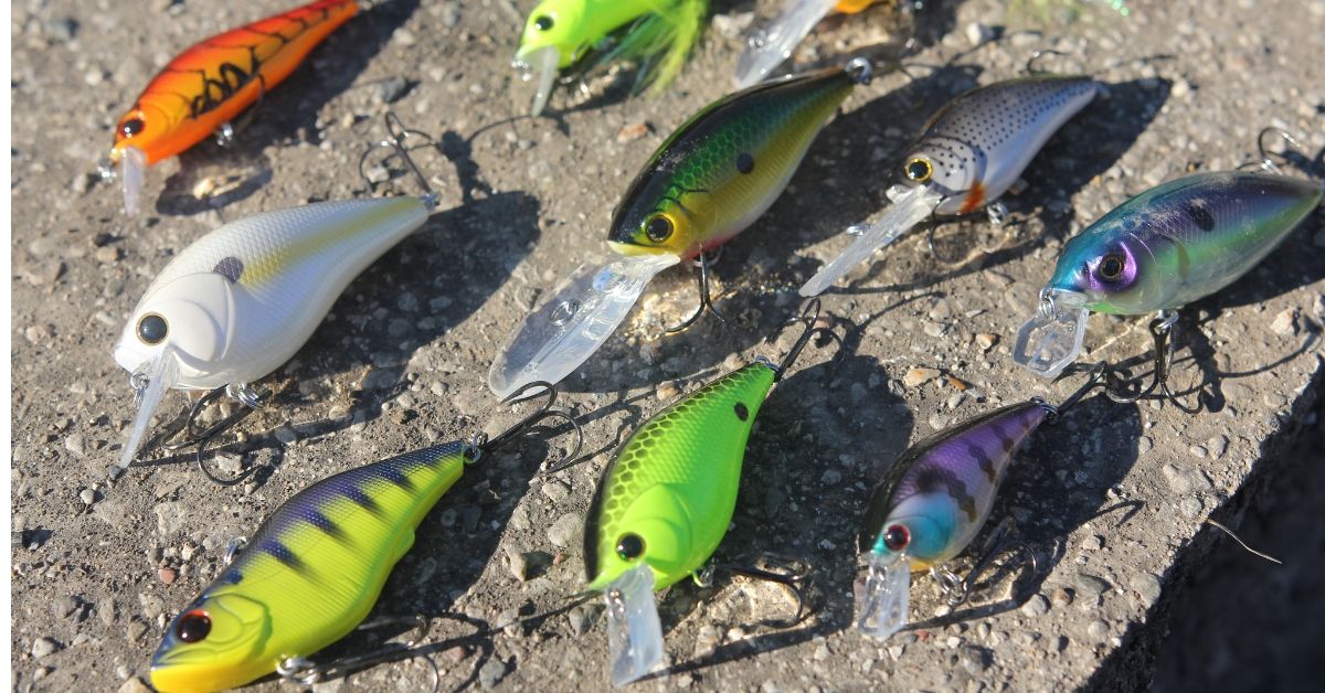 Everything You Ever Wanted To Know About Crankbaits