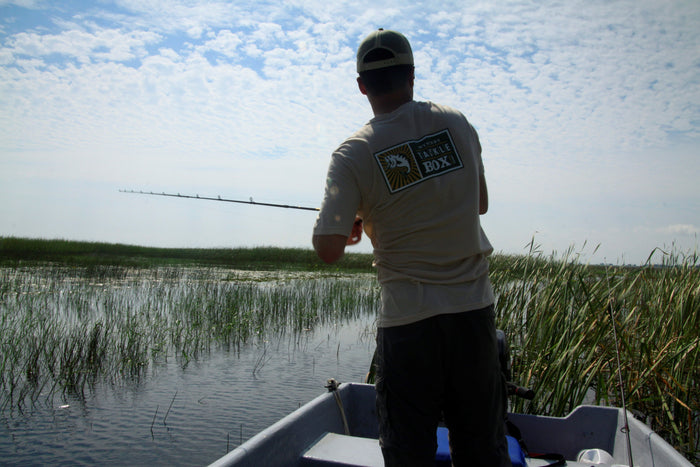 Should I Stay or Should I Go?