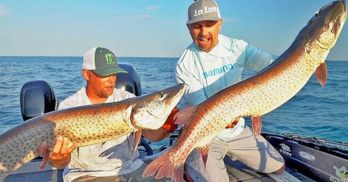 Lake St. Clair Is A Trophy Fish Factory