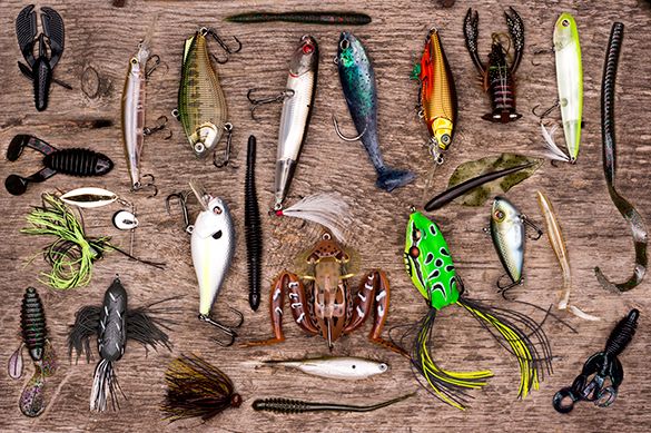 Vote On The Best Way To Get Rid Of Fishing Tackle!