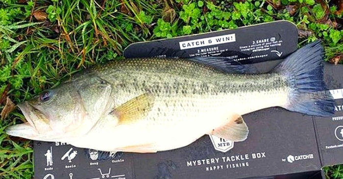 How To Fish In Murky And Clear Water Throughout The Summer