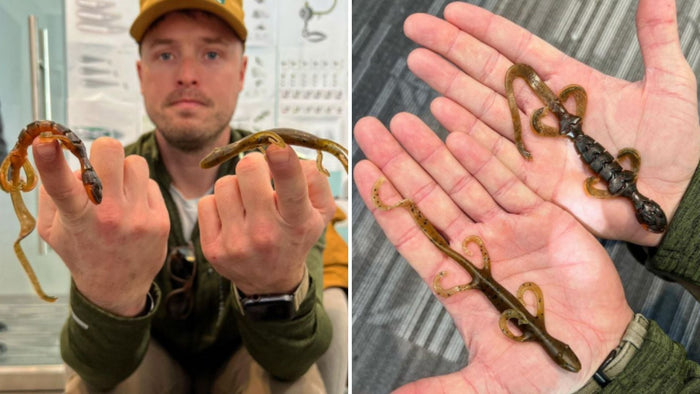 Newest Googan Squad Soft Plastic Announced, It's A Lizard