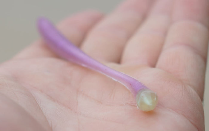 5 Ways To Finesse Fish In The Grass