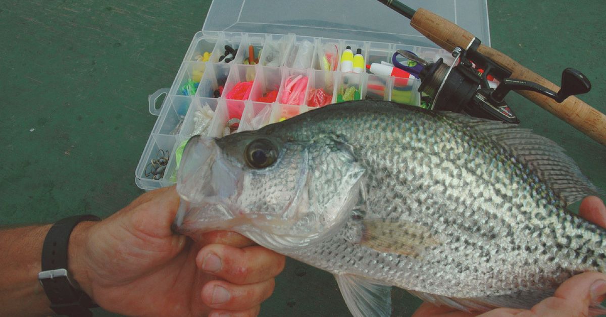 Panfish Tackle: How To Stock Your Tackle Box Like A Crappie Pro Mystery Tackle Box Panfish Tackle: How To Stock Your Tackle Box Like A Crappie Pro Mystery Tackle Box