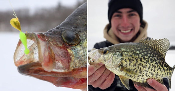 Ice Fishing Hacks: Why You Need To Go DEEP For Big Basin Crappie!