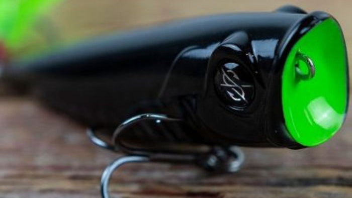 3 Tips To Take Your Popper Fishing To The Next Level