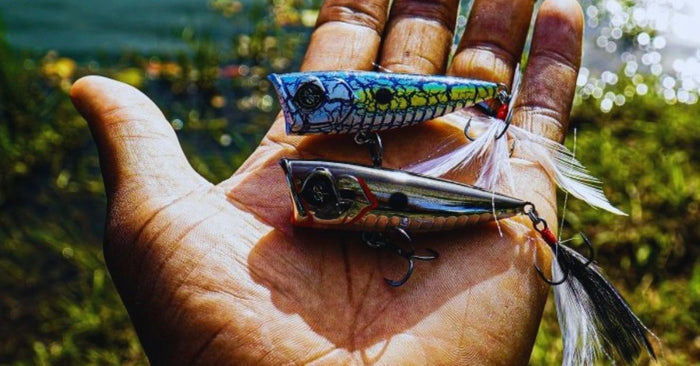 3 Reasons You Should Be Throwing Topwater Poppers Right Now