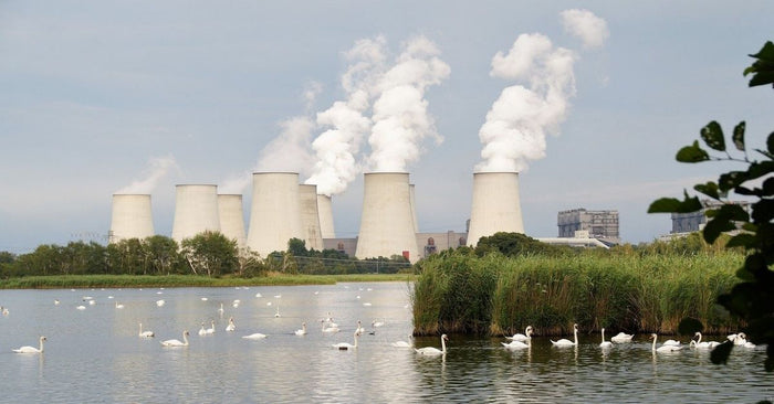 I've Got The Power! How To Fish Power Plant Lakes For FAT Winter Bass