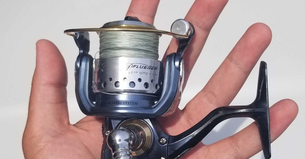 find pflueger fishing reels President Spinning Reel ready spool Pflueger Trion Spinning Reel -